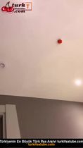 Tango Celine ifşa şampanya aşkı